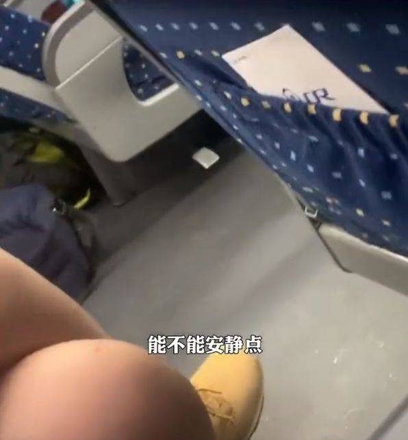 牛顿的眼泪苹果版:【上海身边事】小朋友们在高铁上过于吵闹